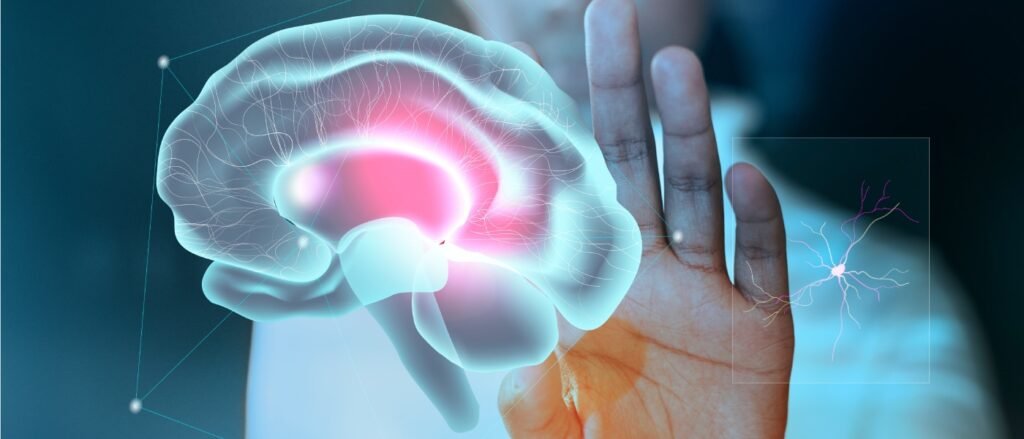 Brain and nerve illustration representing neurological and gut-brain health connection